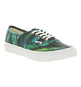 Vans Authentic slim Water colour teal