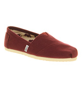 Toms Classic slip on Wine red canvas
