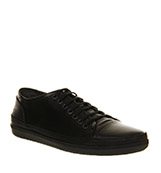 Office Shark lace Black mono leather