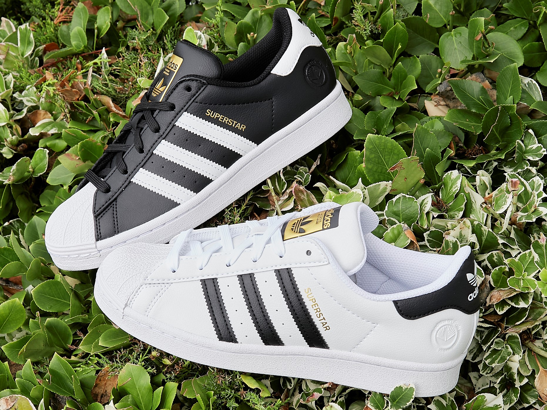 adidas superstar office shoes